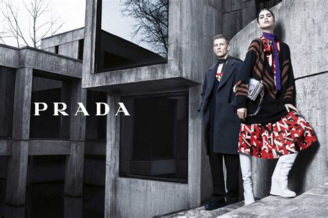 prada fw 14|FW 2014 Womenswear .